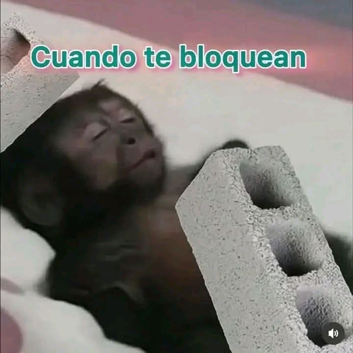 TuzitaMemeX (@tuzitaxtuitera) on Twitter photo 