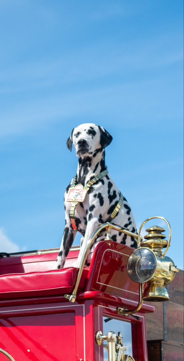 Angelo State Rams Baseball tweet media