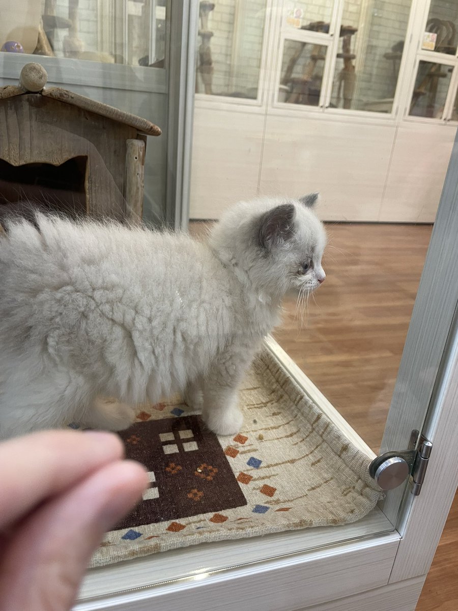 みなよ tweet media