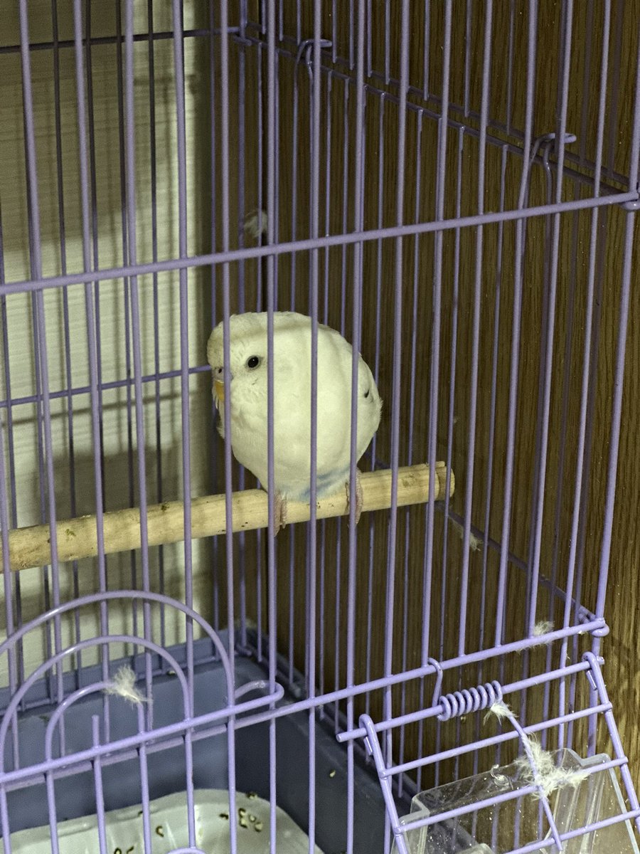 أورانوس🌼 tweet media