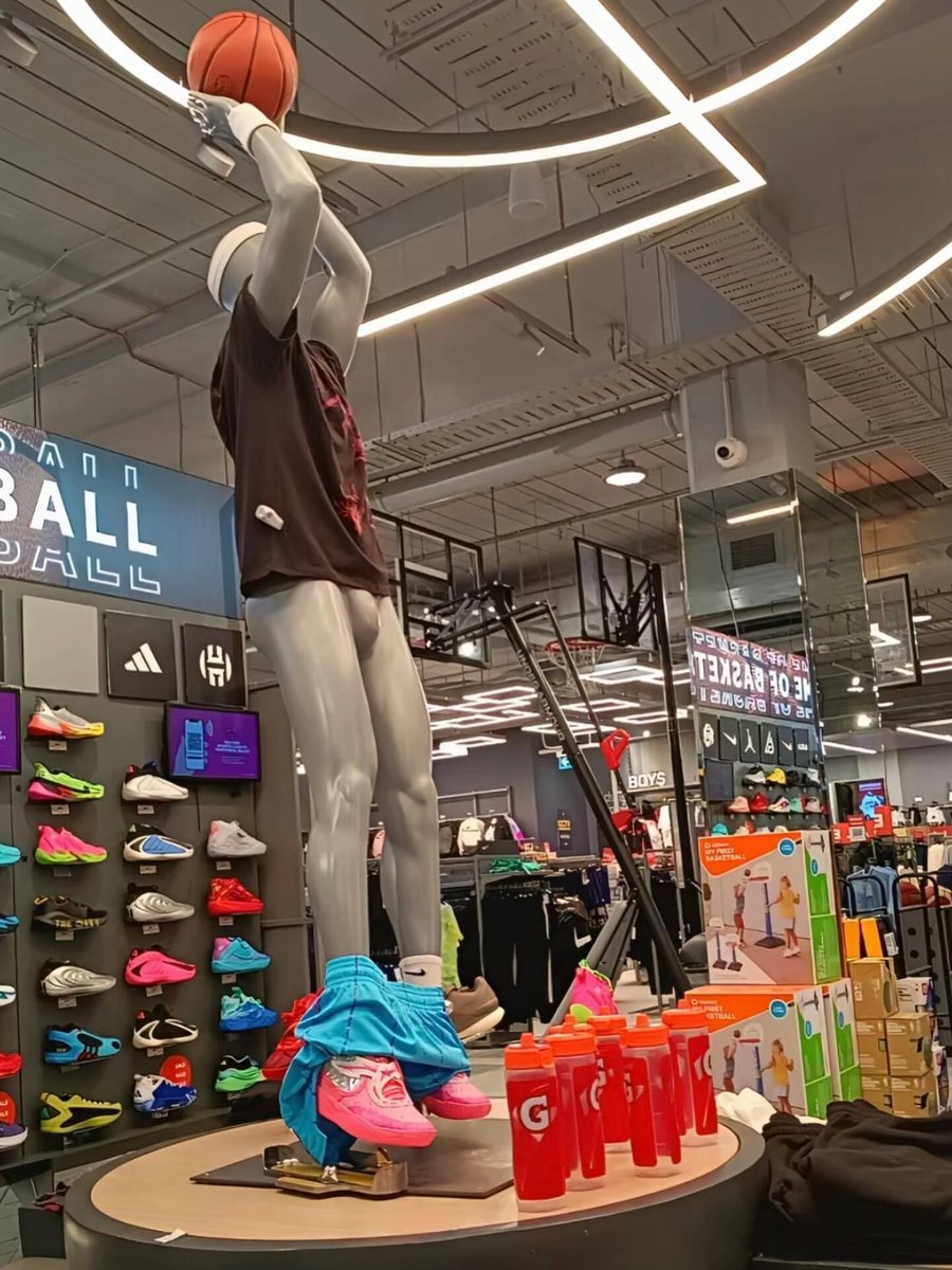 Braindead Bird App tweet media