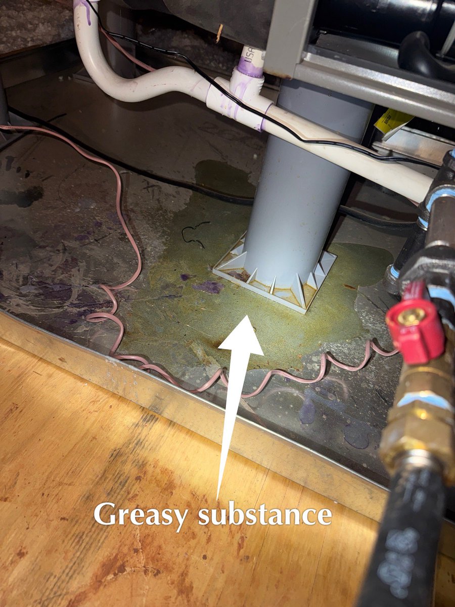 Corey Lambrecht tweet media