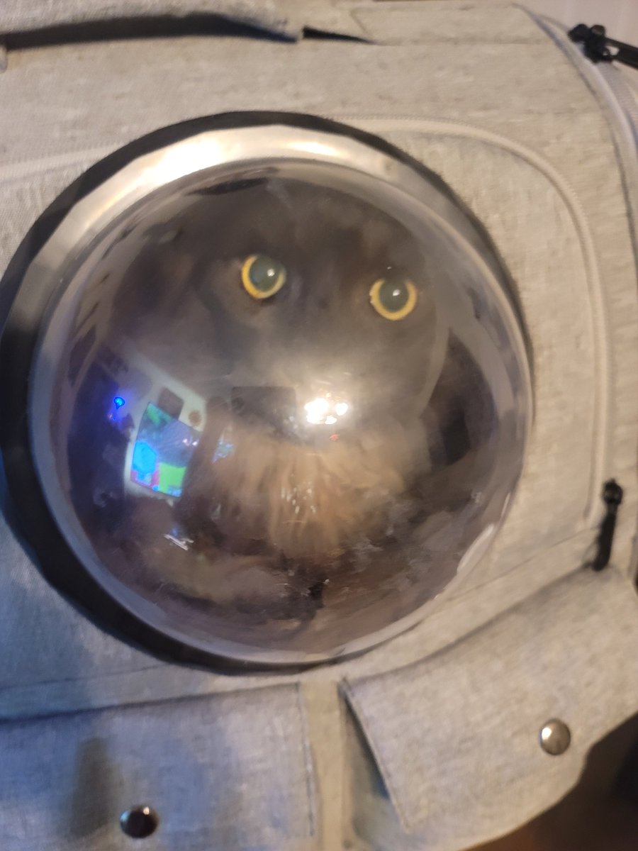 DAMdude85's tweet photo. To the moon and back again!!!! https://t.co/8tfW51Bccw