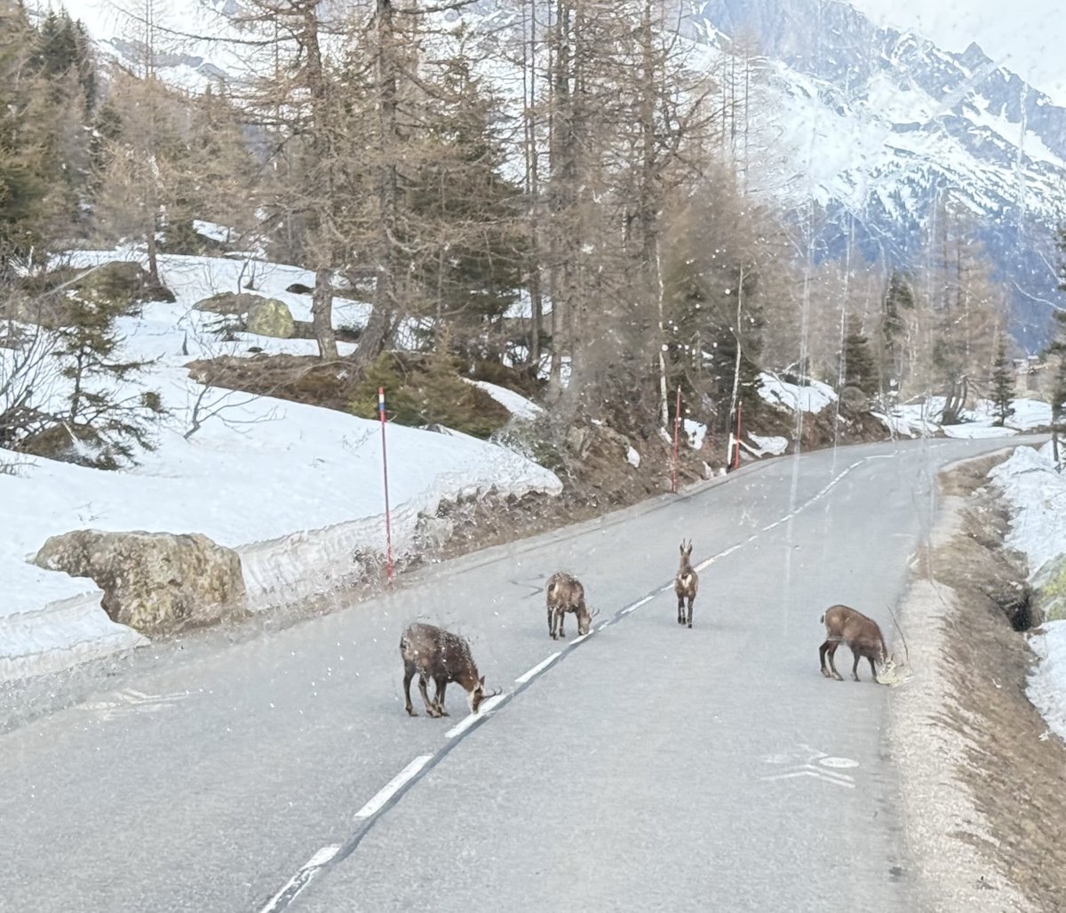 michèle berclaz tweet media