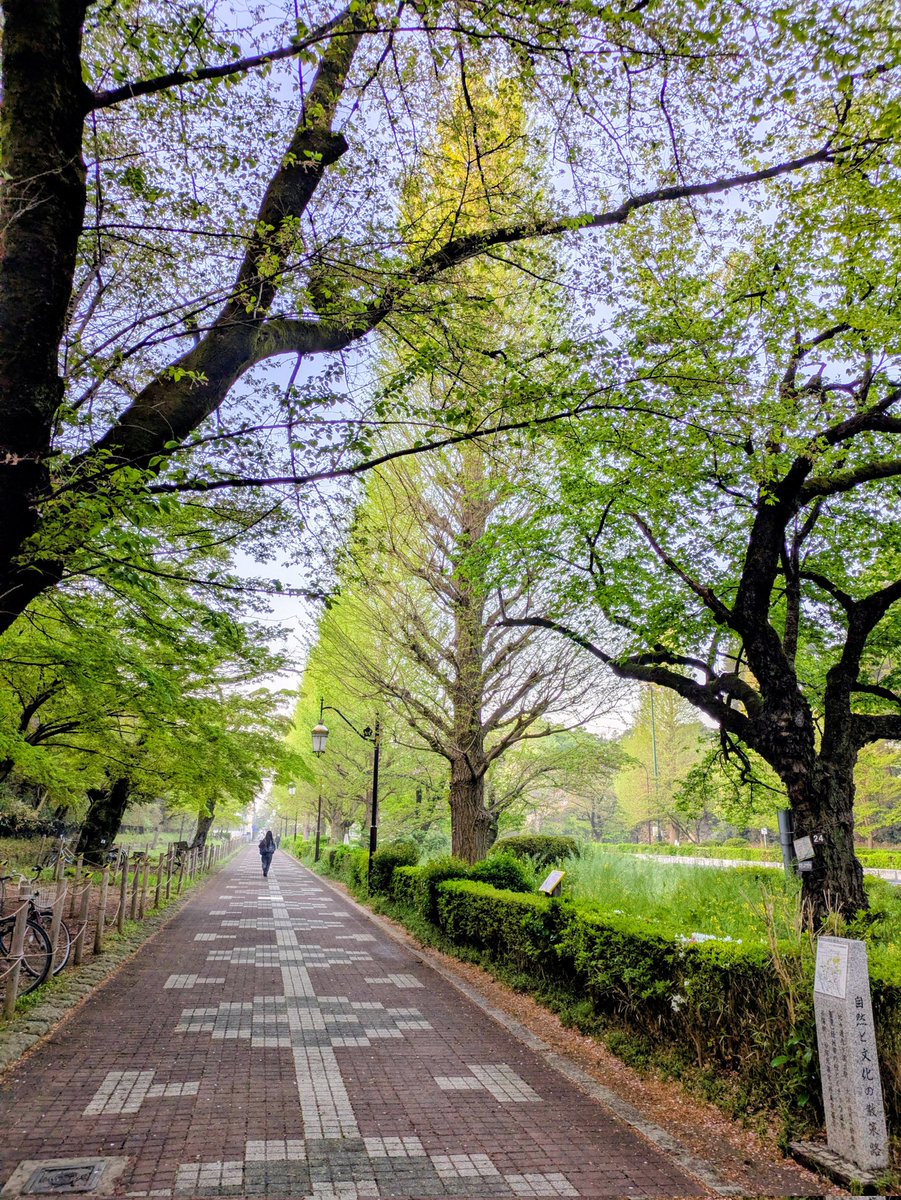 久しぶりの朝散歩
二駅歩いたよ
寒かったり暗かったりで
朝は歩いてなかったよ😁
春 夏 秋は朝散歩できるかな❓

#朝散歩
#久しぶりの朝散歩
#国立大学通り