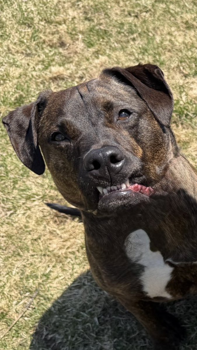 Sweet Man Stan tweet media