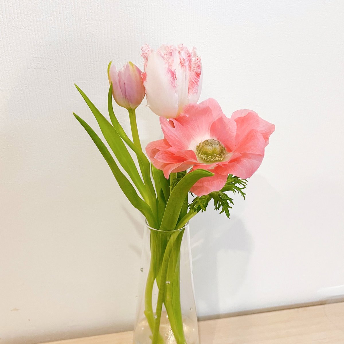 ソード❖Aegis tweet media