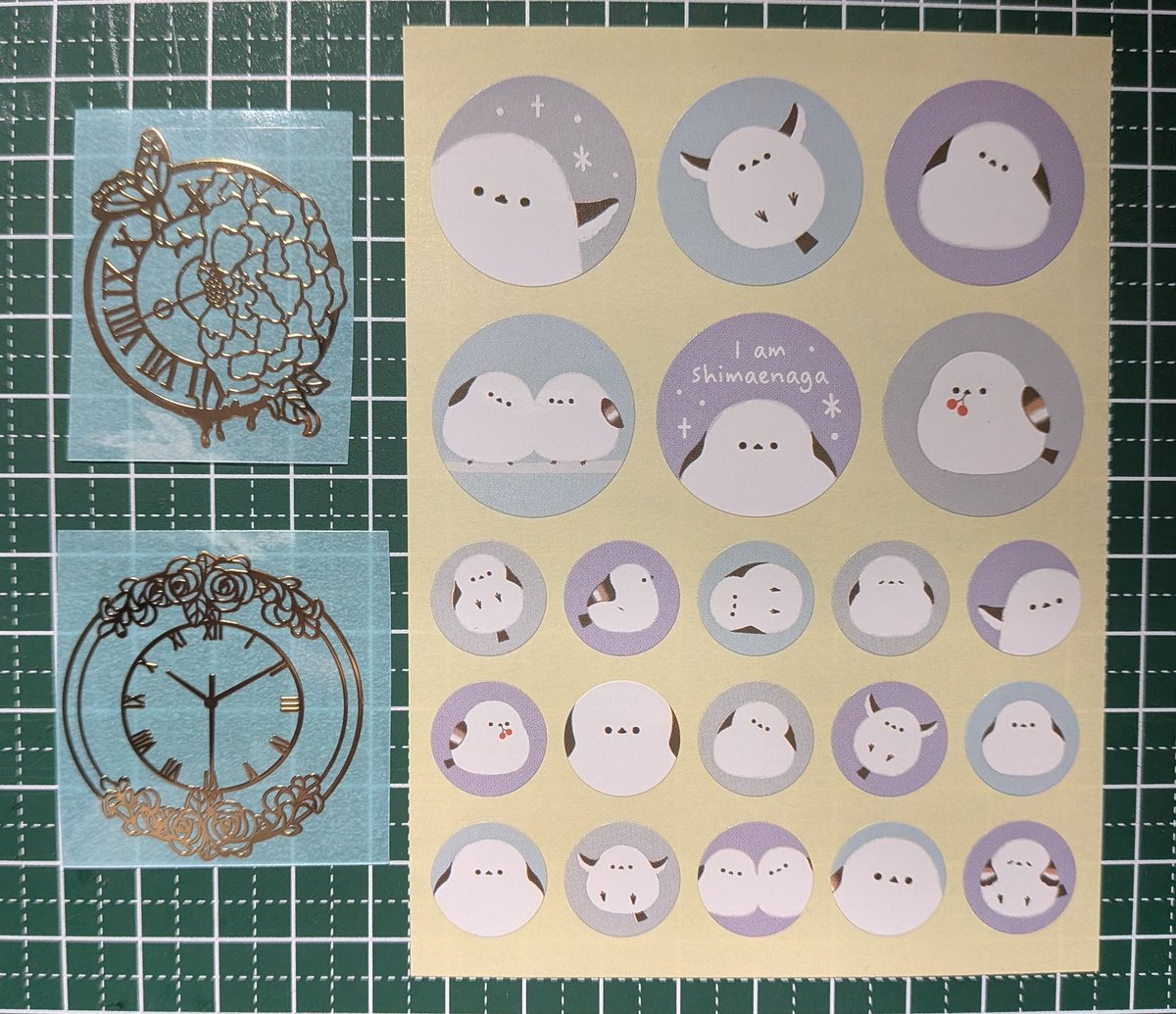 ヤドカリw tweet media