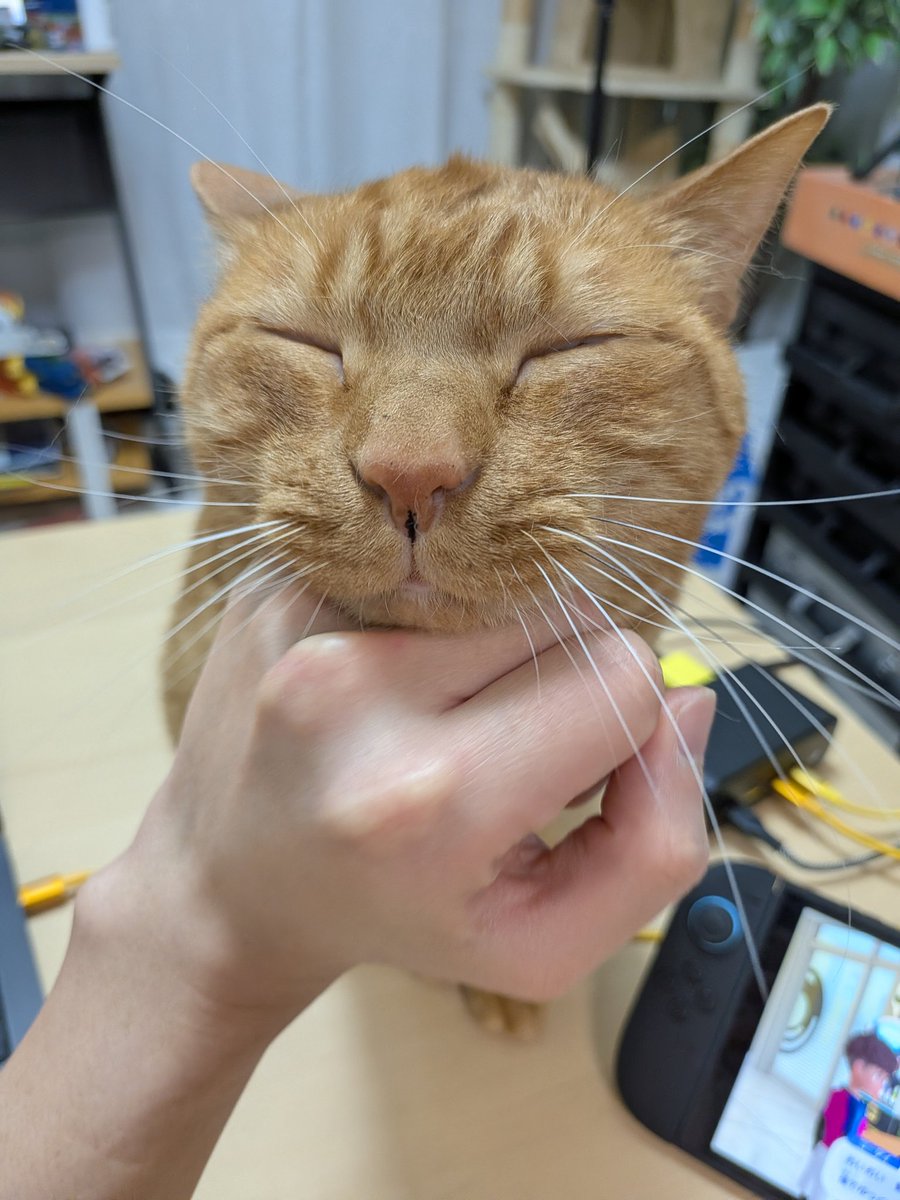 松丸 亮吾 🍥 tweet media