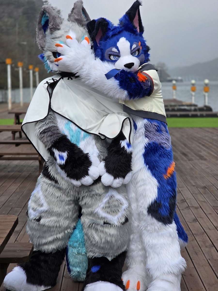 닥터매드 tweet media