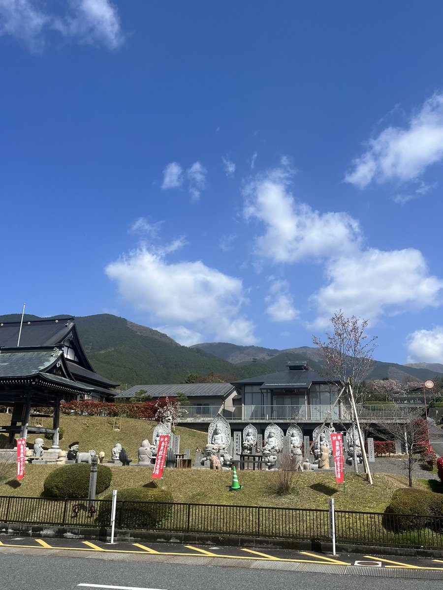 MEGA graphics tweet media