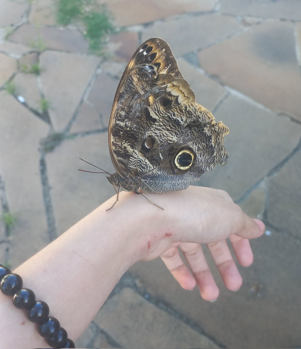 rey ! ⚢ tweet media