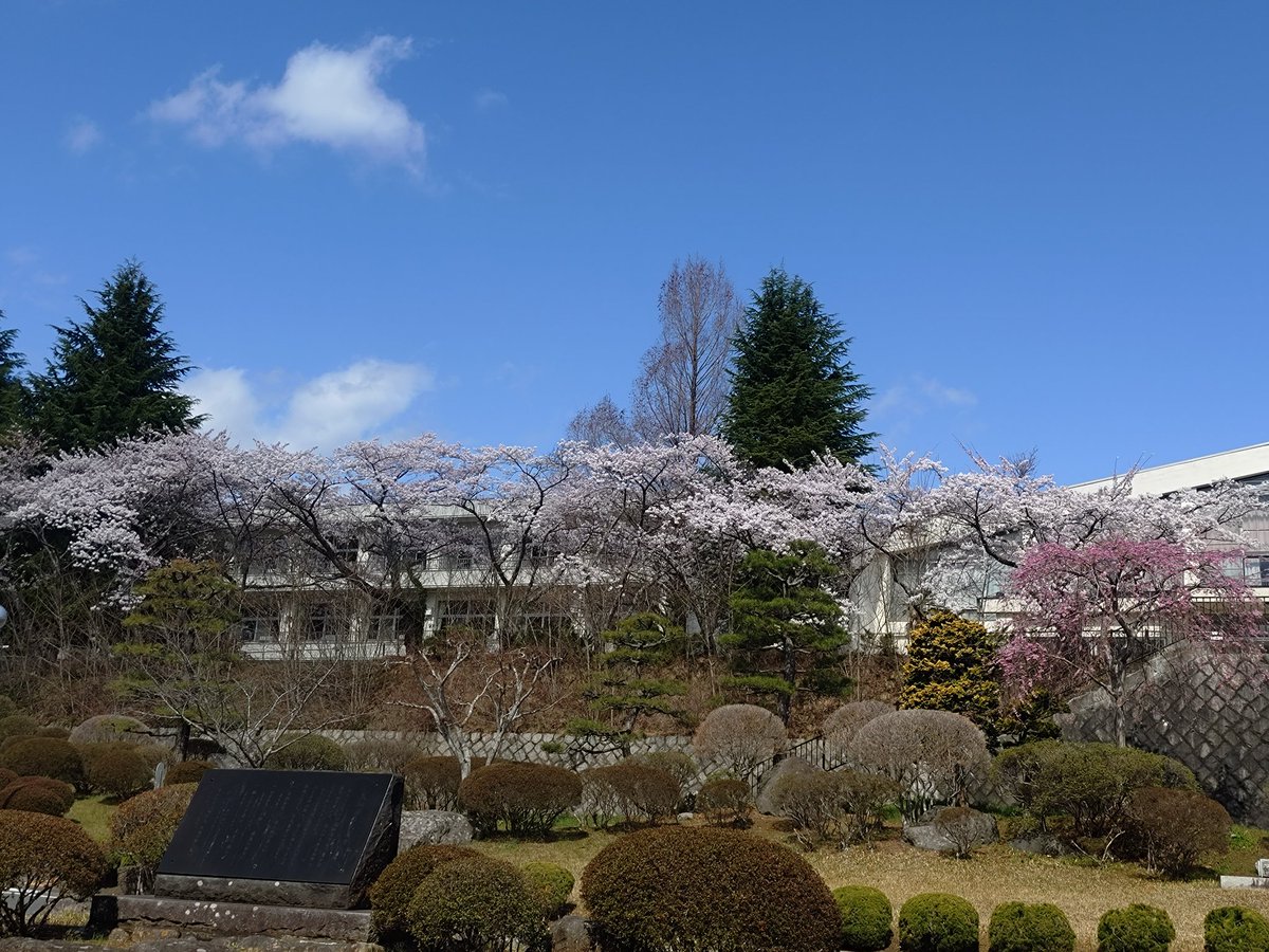 ナカ(なか) tweet media