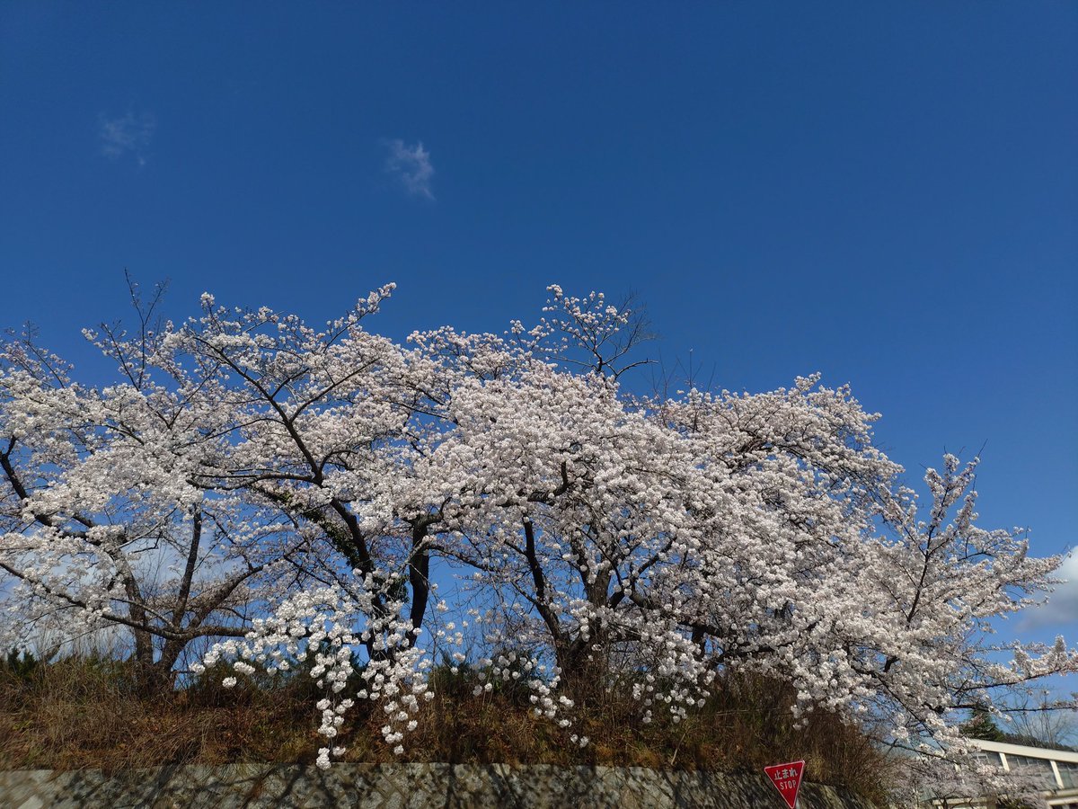 ナカ(なか) tweet media