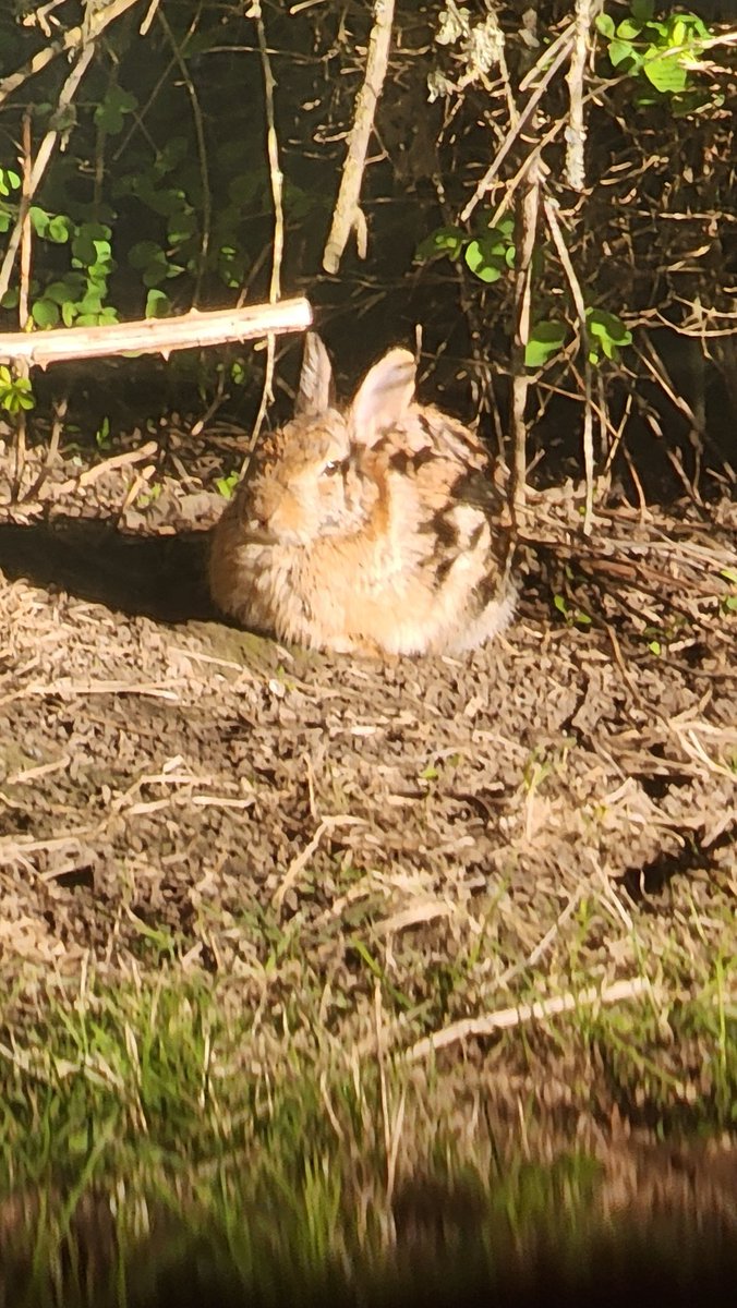 IamSithAzagoth tweet media