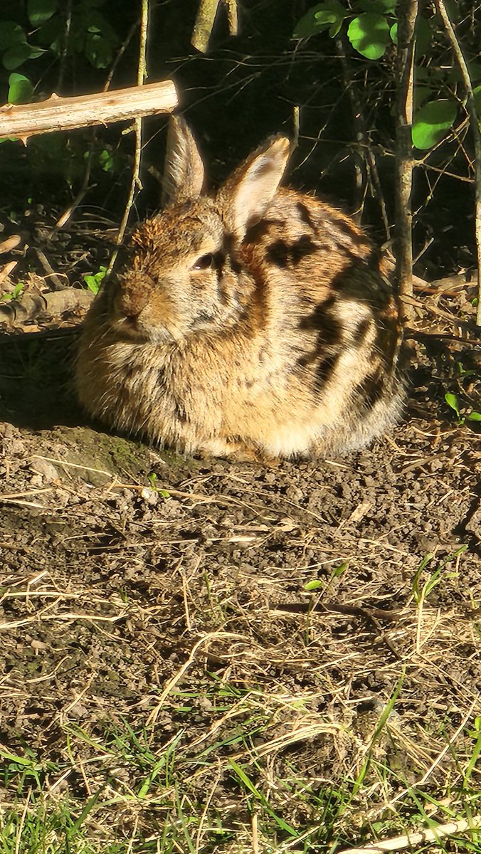 IamSithAzagoth tweet media