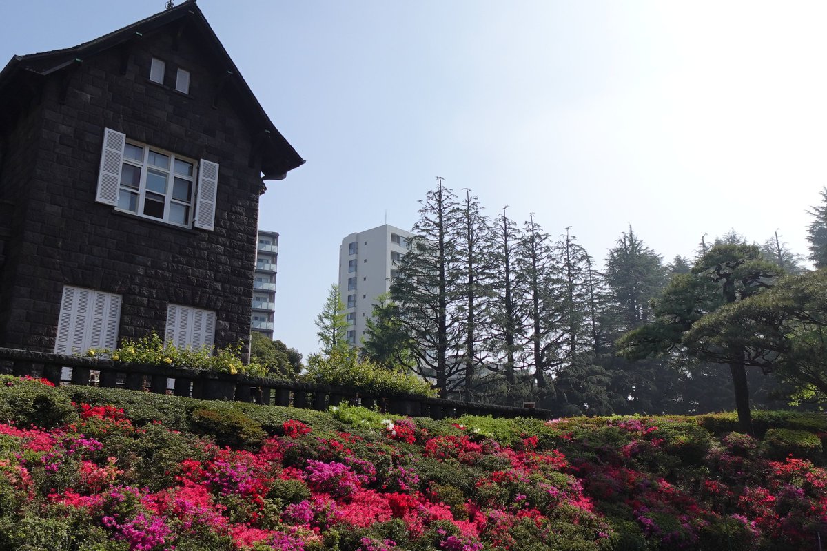 旧古河庭園 tweet media