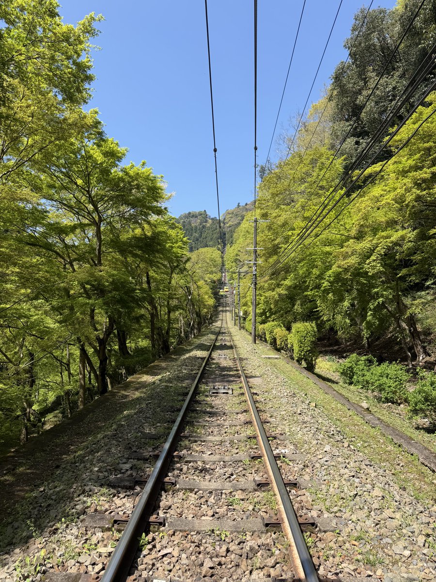 高尾山ケーブルカー【公式】 tweet media