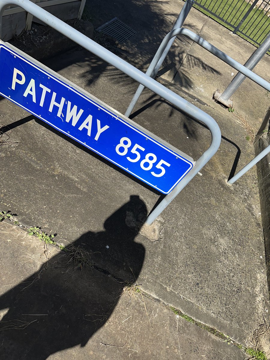 Samælioh tweet media