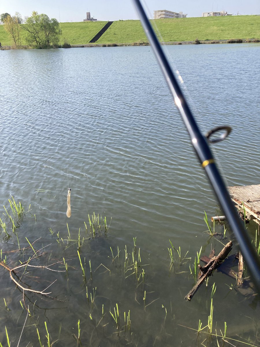 yorichan No.1103 tweet media