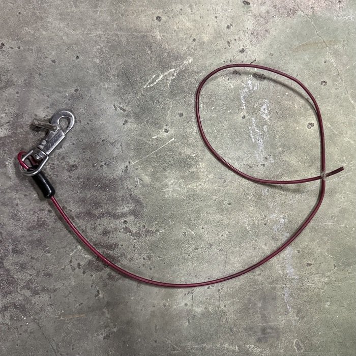 ただの猫ゃで tweet media