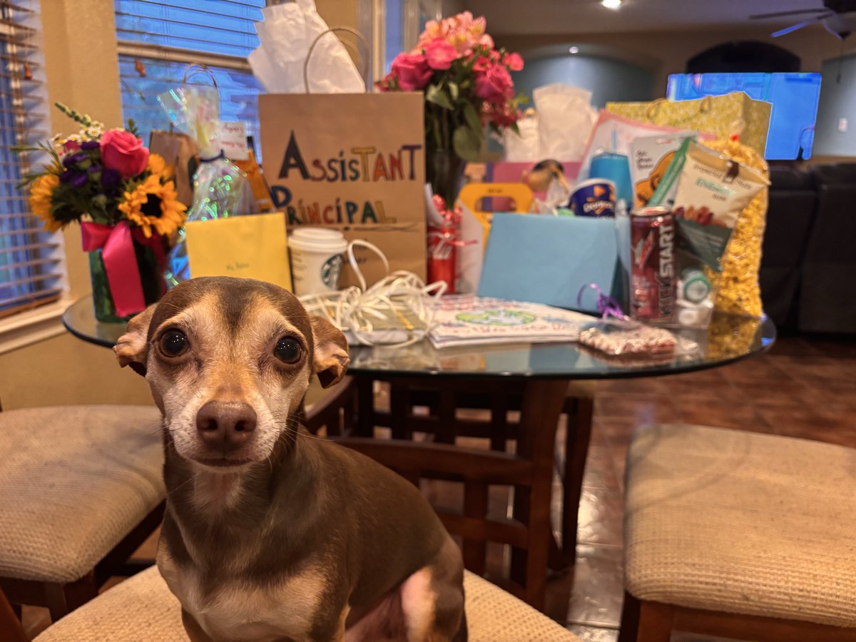 Lorena Robles tweet media