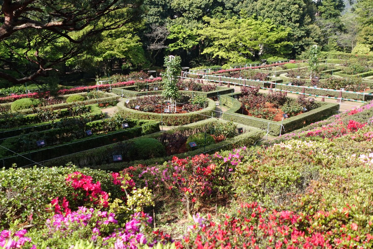 旧古河庭園 tweet media