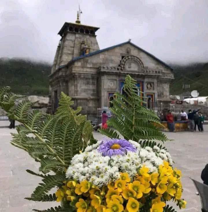 कान्हा चौधरी 😎(पांवणा जी)💞 tweet media