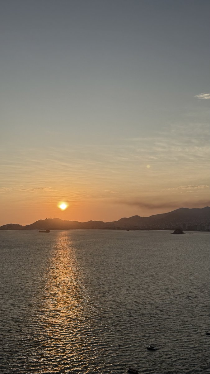 Rebeca Serio tweet media