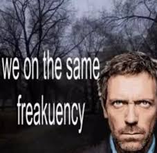 Critter/Kuv 🐛 Enby Solsu Truther tweet media