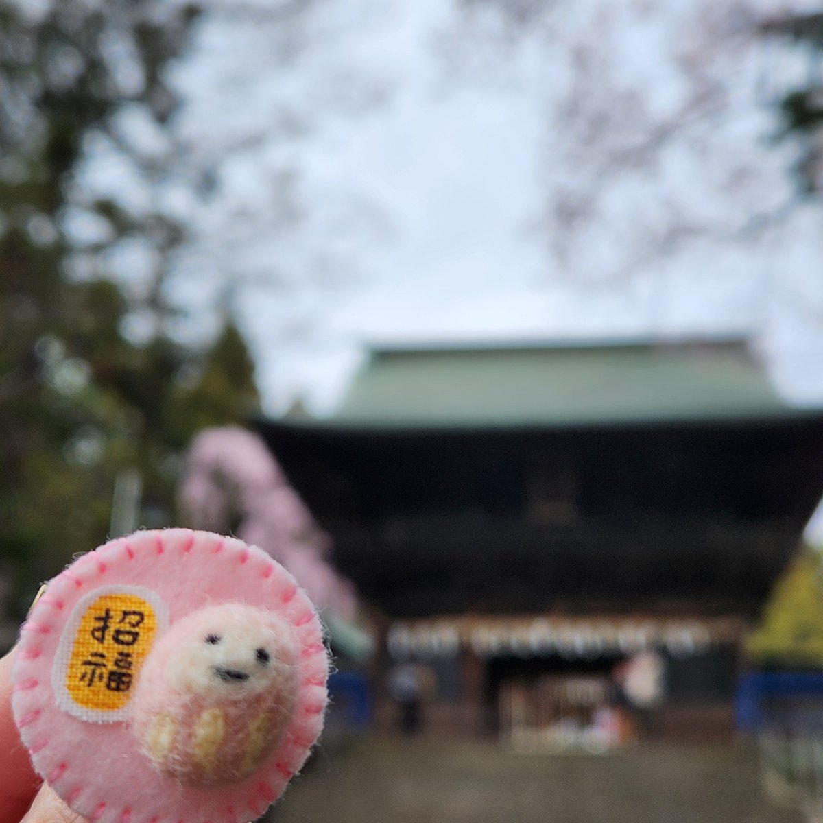🐥🌸⛩️🙏

#お花見
#ぬい活
