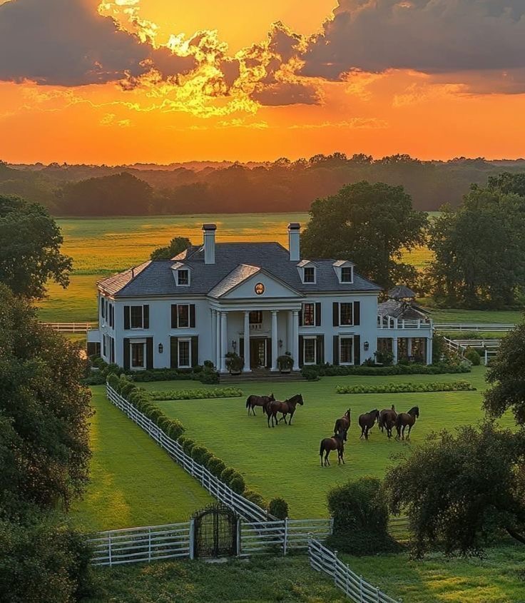 HOUSEPORN___'s tweet image. Dream retreat: