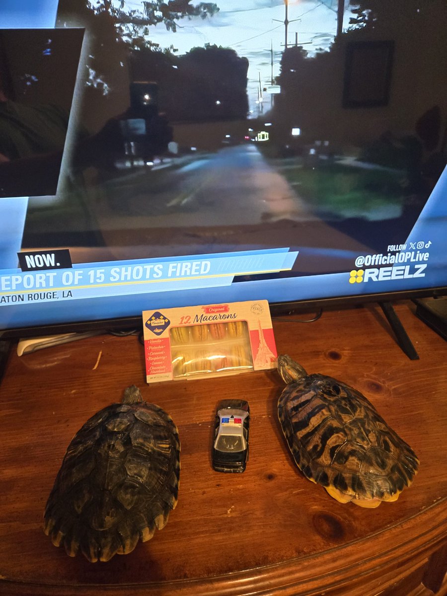 Wally's World tweet media