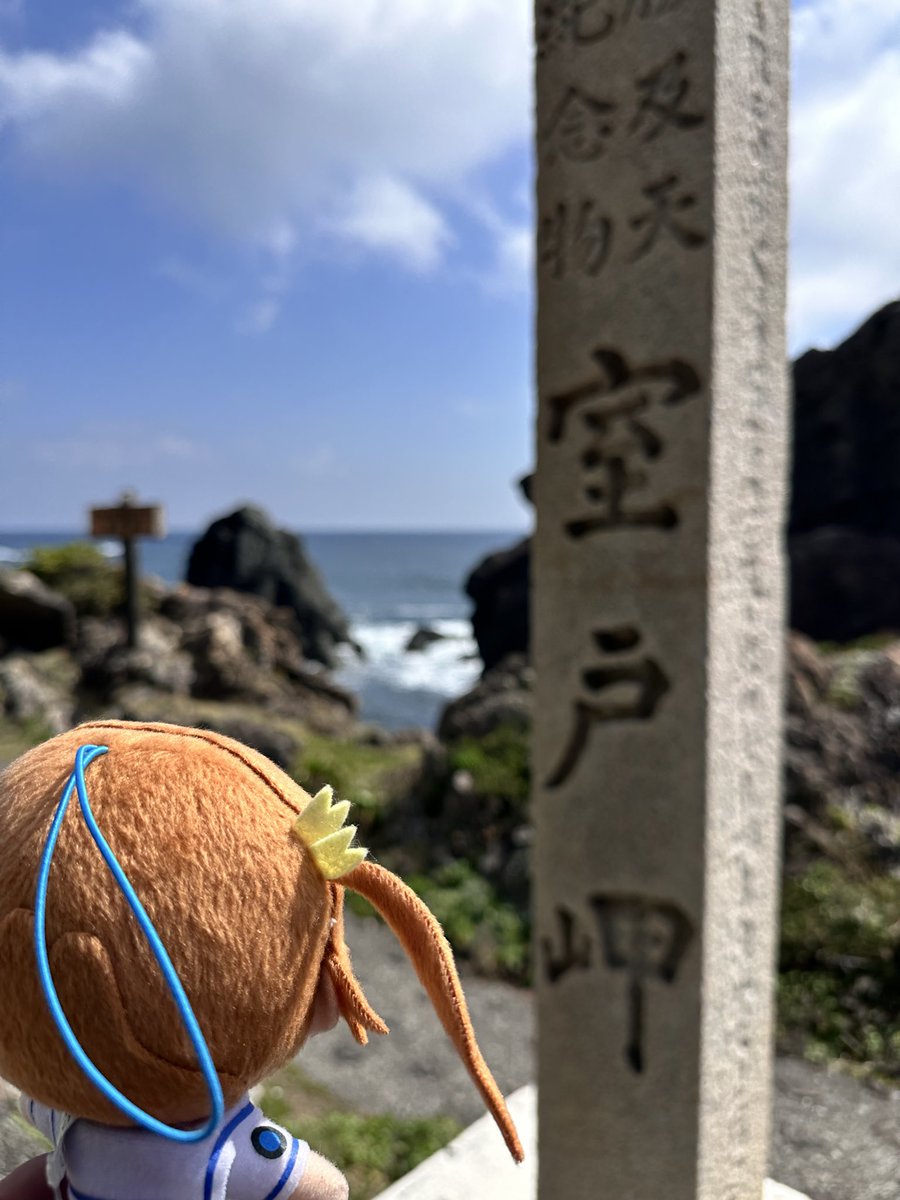 船上もっきゅ tweet media