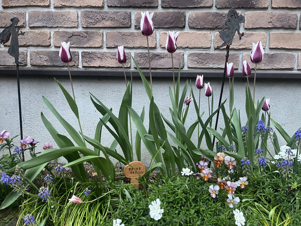 りりん🕯 tweet media