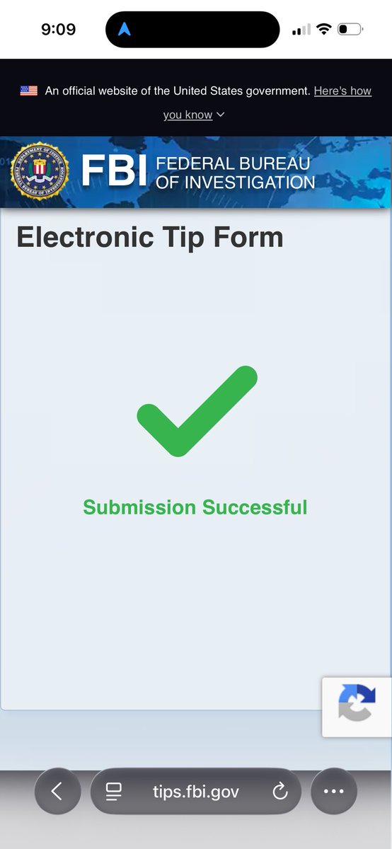 madi🐼🐾 tweet media