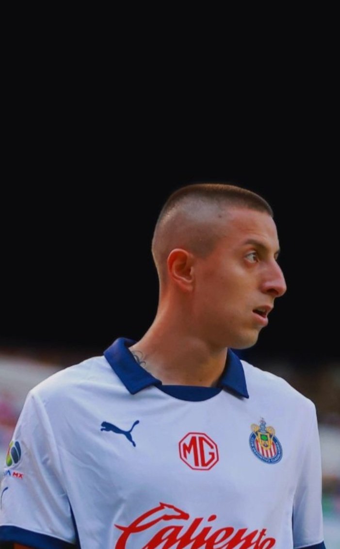 alesandra tweet media