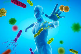 Sistema Inmune de Mujeres envejece más rápido según estudio publicado en Nature. La remodelación celular y molecular de su sistema inmune es más pronunciada con el tiempo, lo que explicaría las diferencias entre sexos, en enfermedades autoinmunes y cánceres de la sangre.