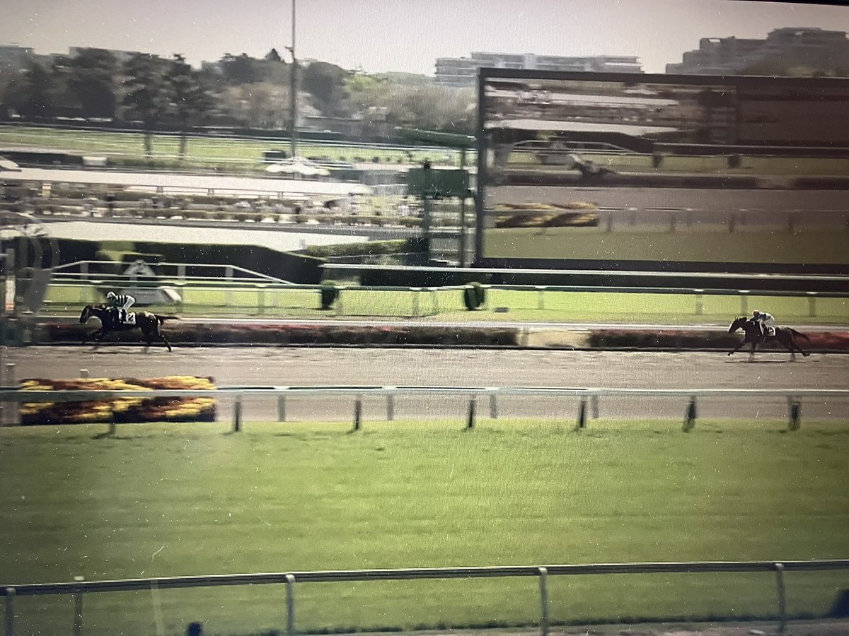 梅ちゃん tweet media