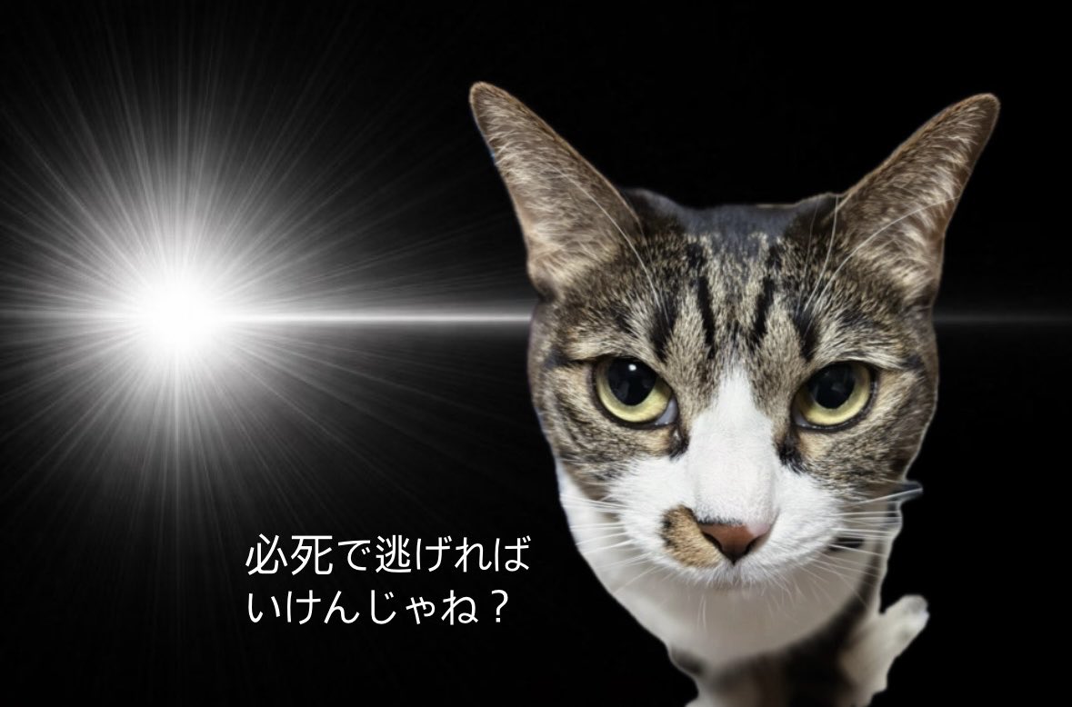 kurovil's tweet photo. @yu13mee3 しにゃにい！がんばれ！ https://t.co/Hc2neRSKas