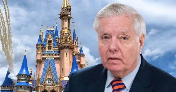 Being Libertarian tweet media