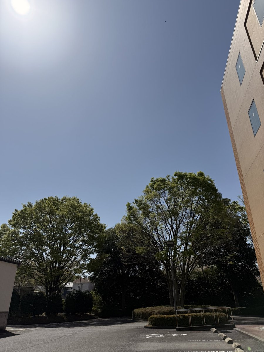 みっちゃん副長@DJ Mippy tweet media