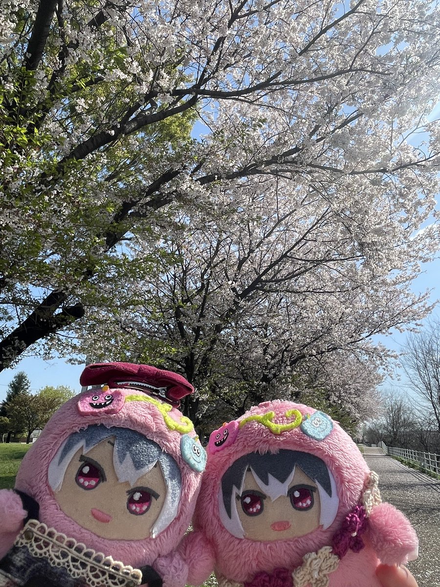 まつる tweet media