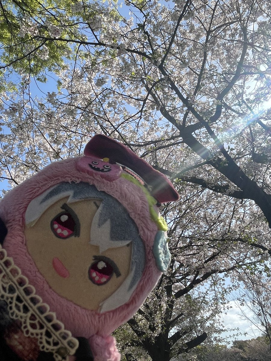 まつる tweet media