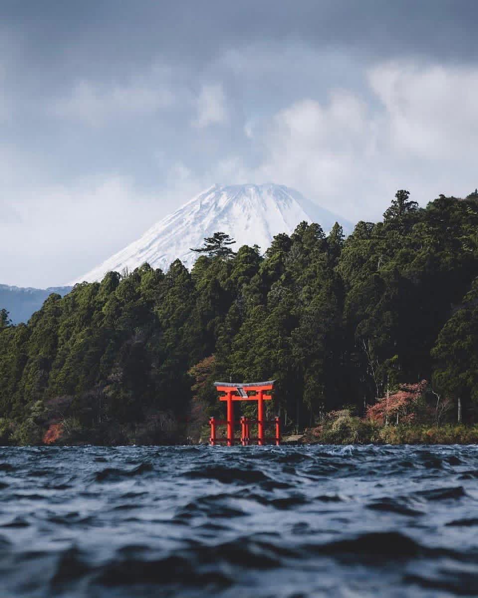 goldenshepard's tweet image. I DON’T 🚫 match energies, I vibe @ my own FREQUENCY 🎶 &amp;amp; attract what aligns❗️#lifehack #friday #weekendloading