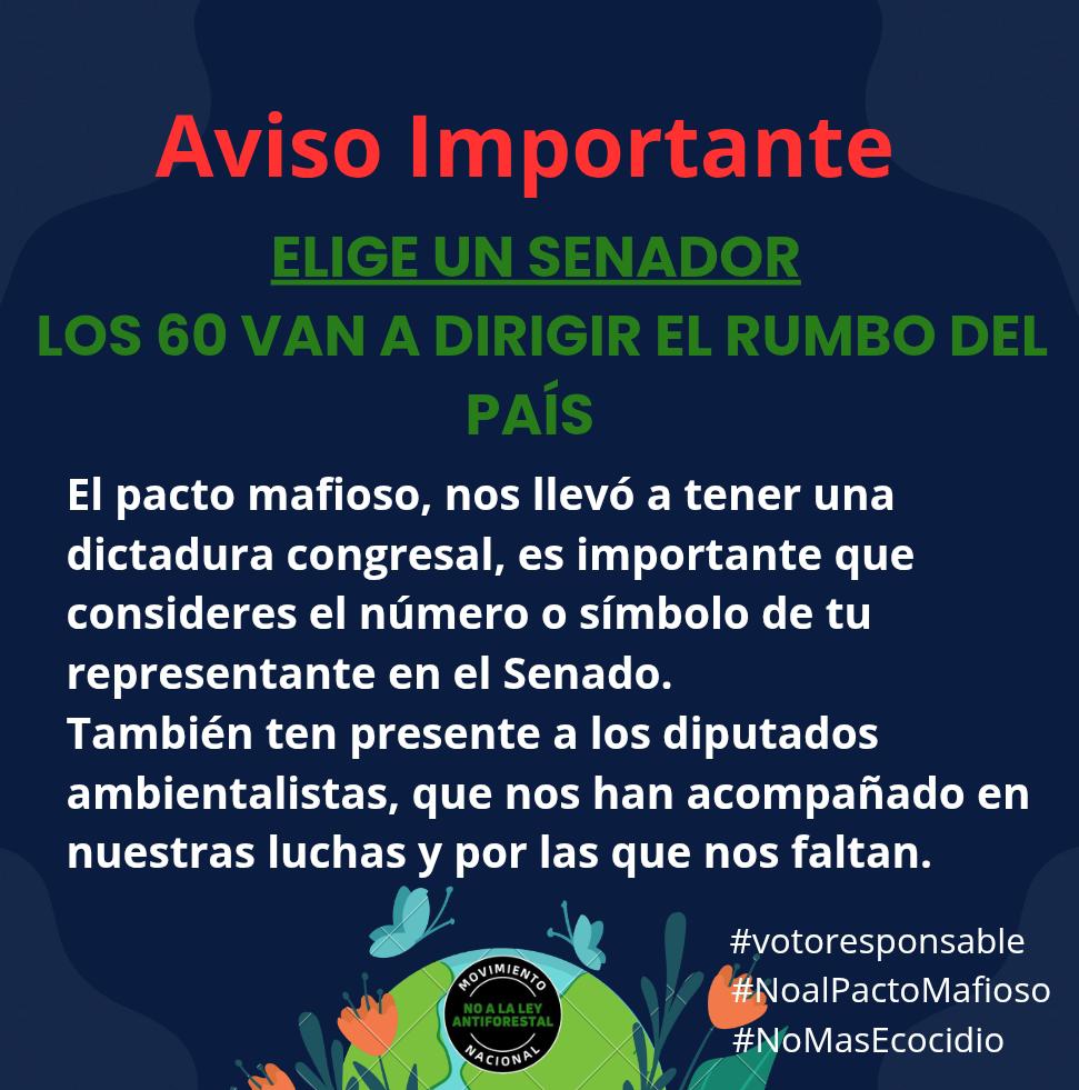 Movimiento Nacional no a la ley antiforestal tweet media