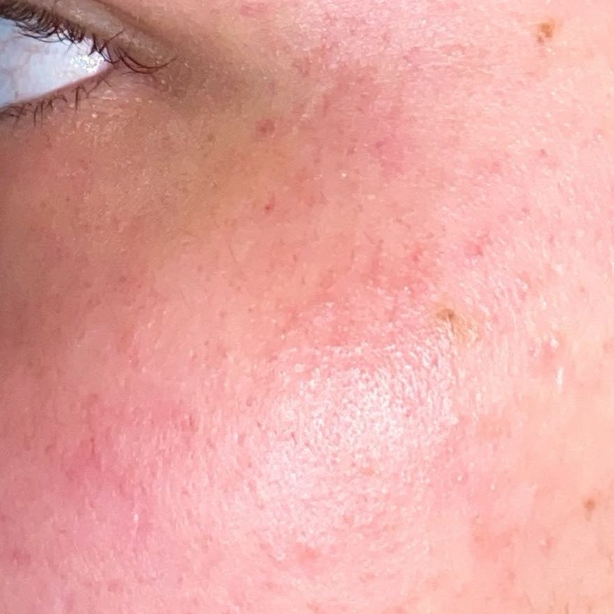 ૮₍ ˶ᵏⁱᵗᵗⁱ ˶ ₎ა 🧁🐰 tweet media