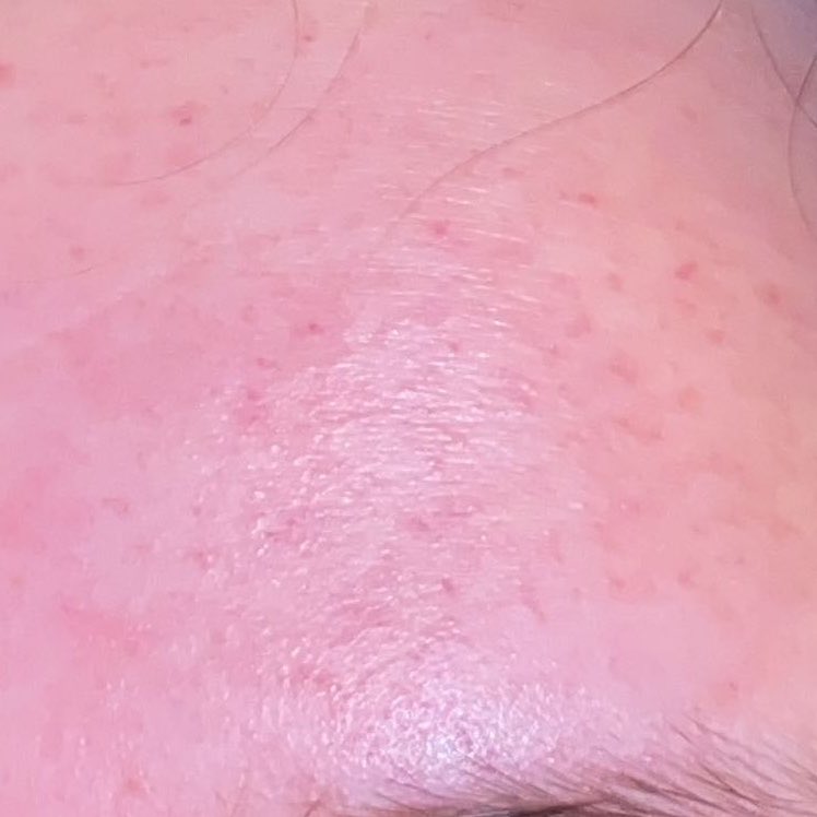 ૮₍ ˶ᵏⁱᵗᵗⁱ ˶ ₎ა 🧁🐰 tweet media