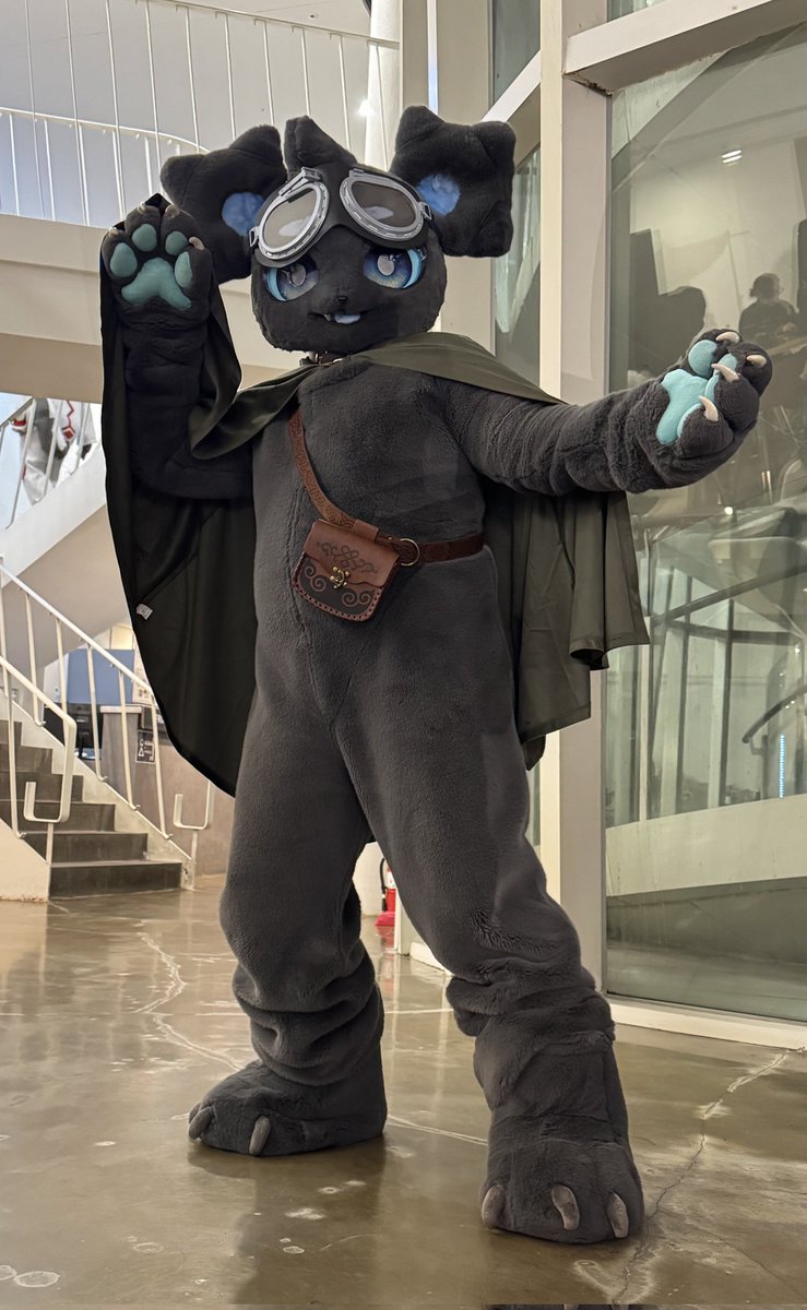 닥터매드 tweet media