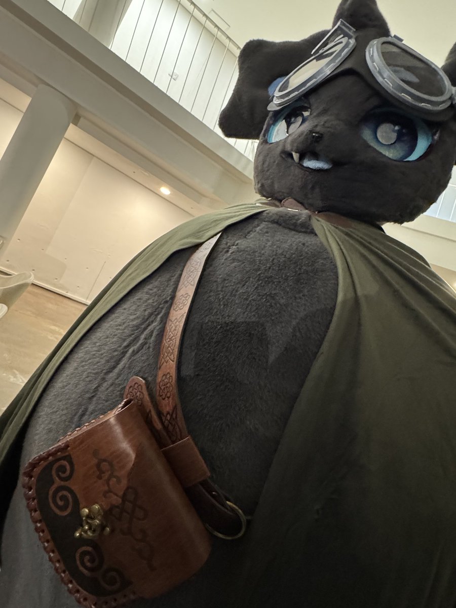 닥터매드 tweet media